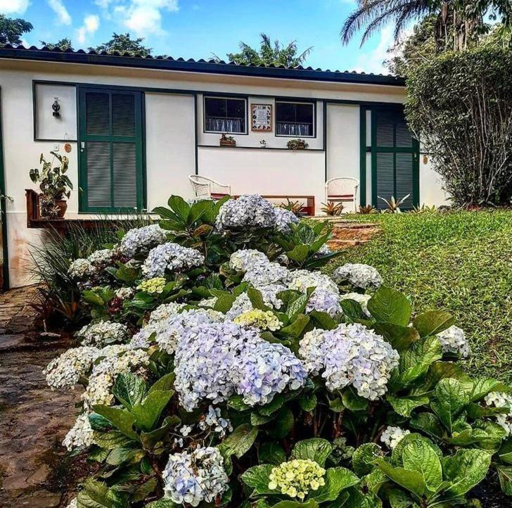 Отель Pinheiros Do Rocio Арарас Экстерьер фото